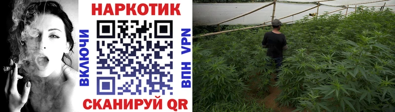 Цена Белая Калитва Галлюциногенные грибы ГАШ COCAIN Альфа ПВП АМФ