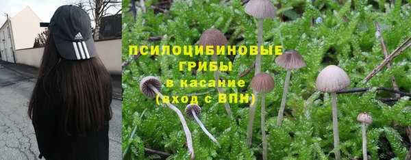 тгк Аркадак