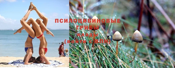ALPHA-PVP Армянск