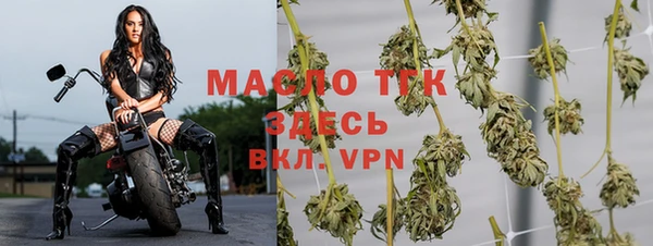 тгк Аркадак